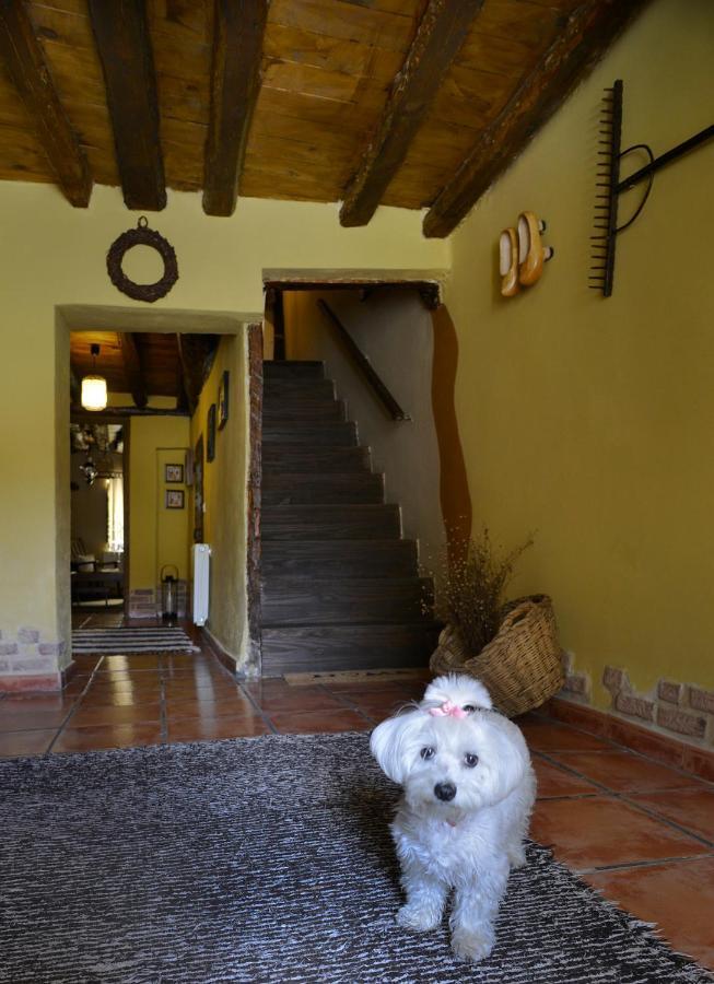 Tamajon La Casita De Leireゲストハウス エクステリア 写真